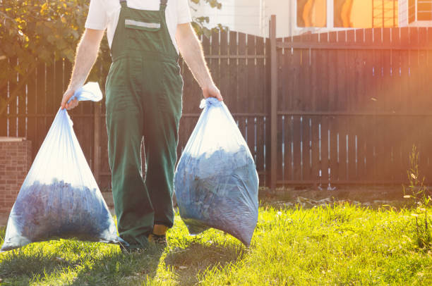 Best Affordable Junk Removal Services  in Walnut Creek, OH